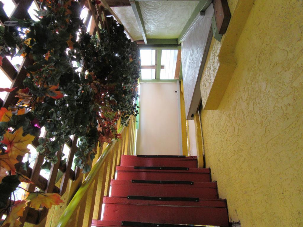 Turtle Hostel Victoria Luaran gambar