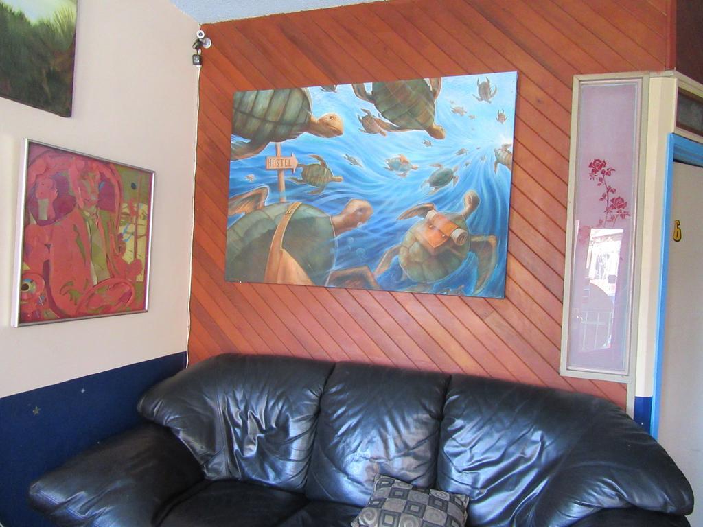 Turtle Hostel Victoria Luaran gambar